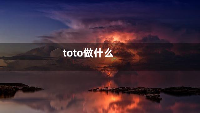 toto做什么