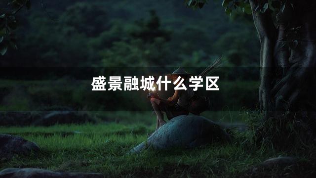 盛景融城什么学区