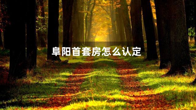 阜阳首套房怎么认定