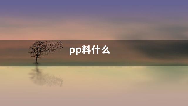 pp料什么