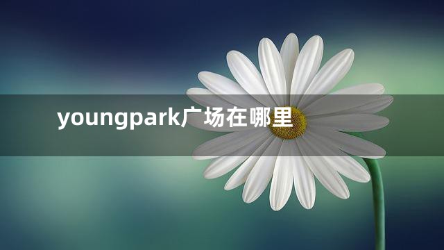 youngpark广场在哪里
