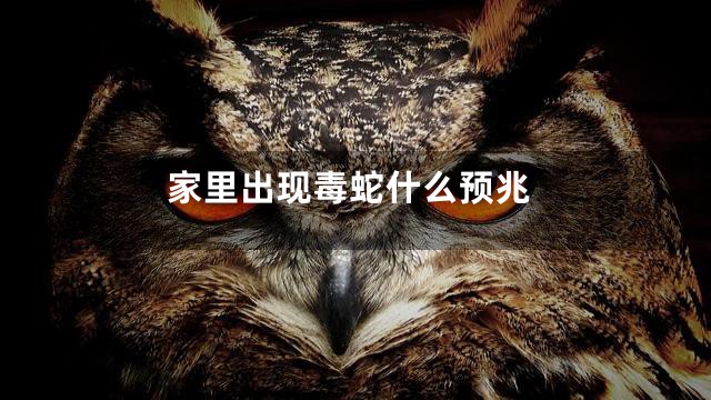 家里出现毒蛇什么预兆