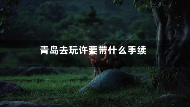 青岛去玩许要带什么手续