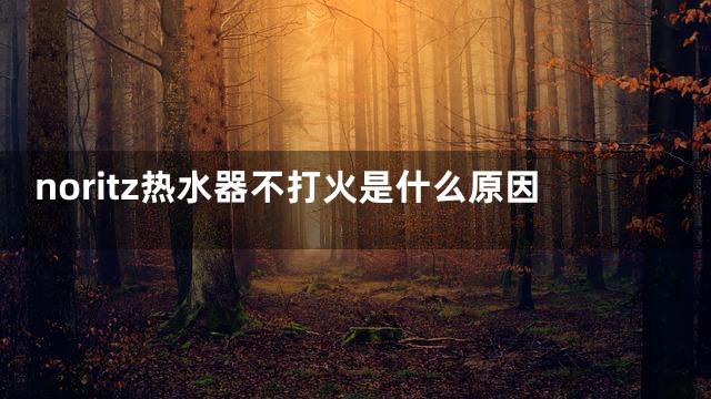 noritz热水器不打火是什么原因