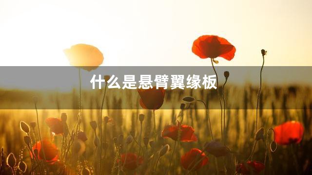 什么是悬臂翼缘板