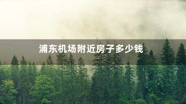 浦东机场附近房子多少钱