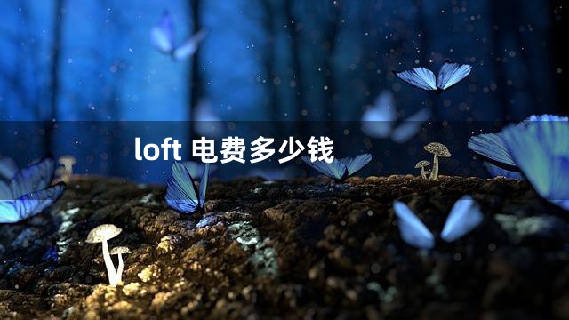 loft 电费多少钱