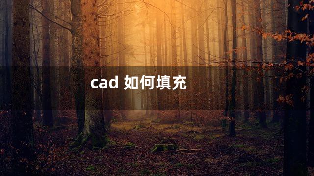 cad 如何填充