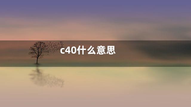 c40什么意思