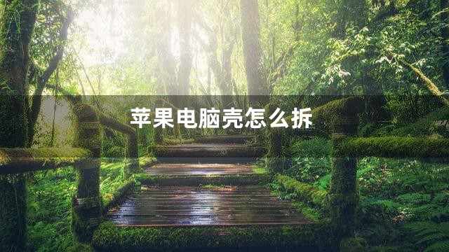 苹果电脑壳怎么拆