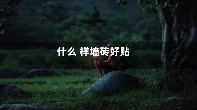 什么 样墙砖好贴