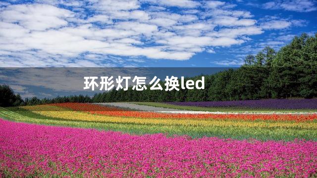 环形灯怎么换led