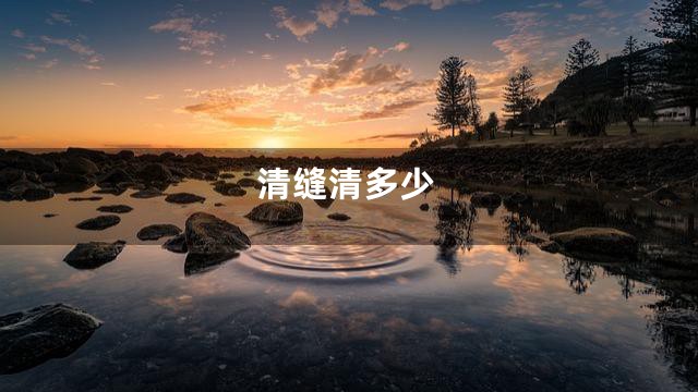 清缝清多少