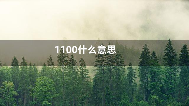 1100什么意思
