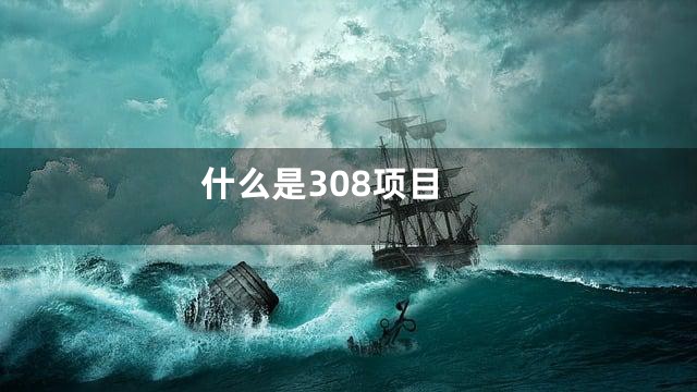 什么是308项目