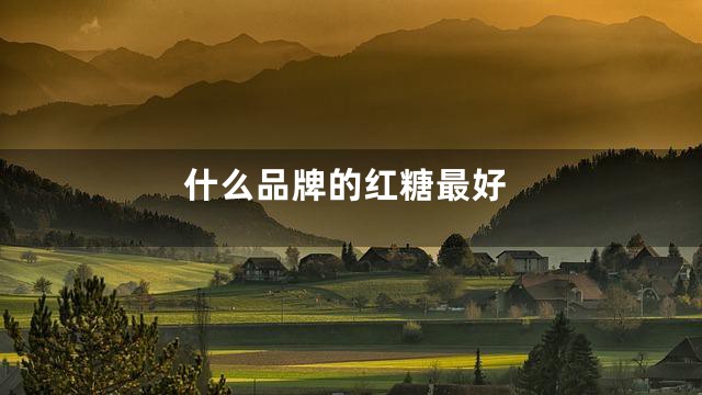 什么品牌的红糖最好