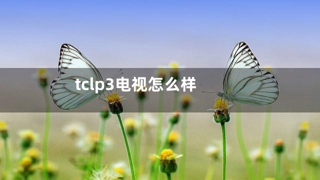 tclp3电视怎么样