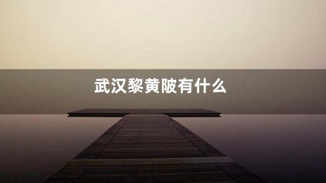 武汉黎黄陂有什么