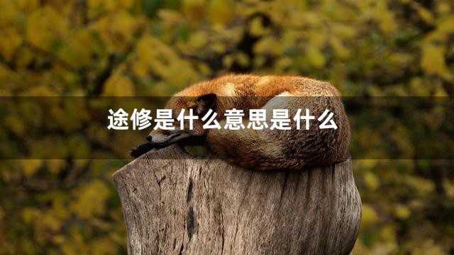 途修是什么意思是什么