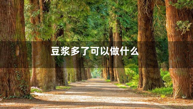 豆浆多了可以做什么