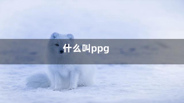 什么叫ppg