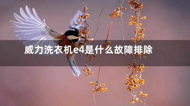 威力洗衣机e4是什么故障排除