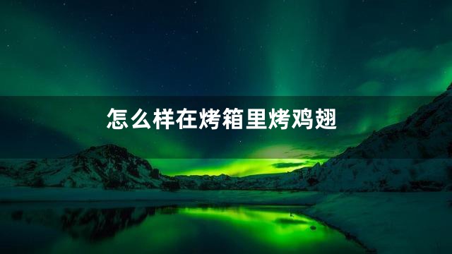 怎么样在烤箱里烤鸡翅