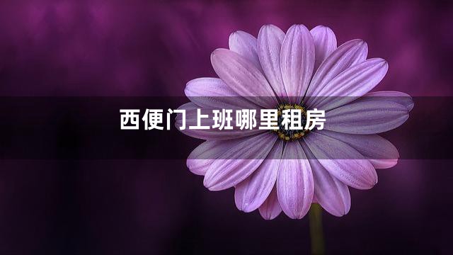 西便门上班哪里租房