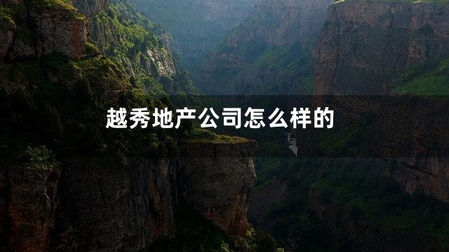 越秀地产公司怎么样的
