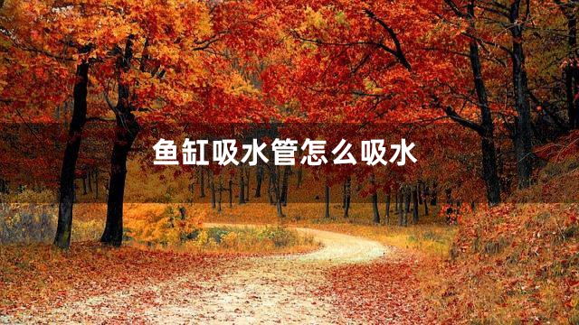 鱼缸吸水管怎么吸水