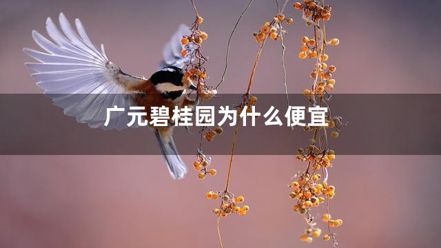 广元碧桂园为什么便宜