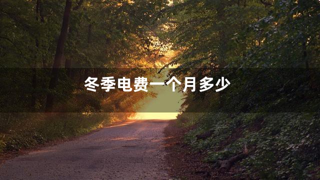 冬季电费一个月多少