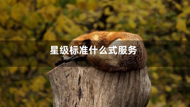 星级标准什么式服务