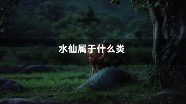 水仙属于什么类