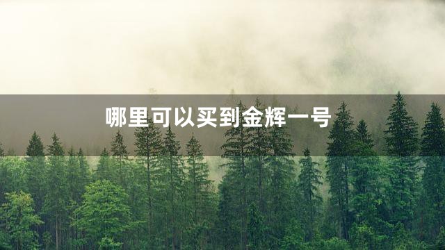 哪里可以买到金辉一号