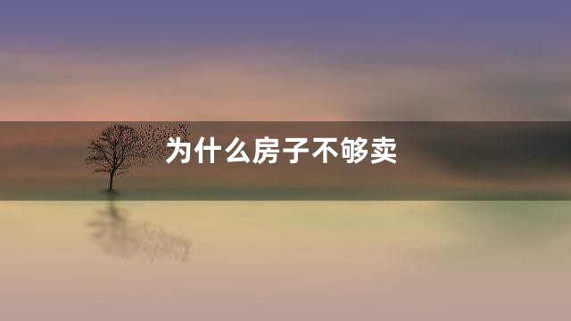 为什么房子不够卖