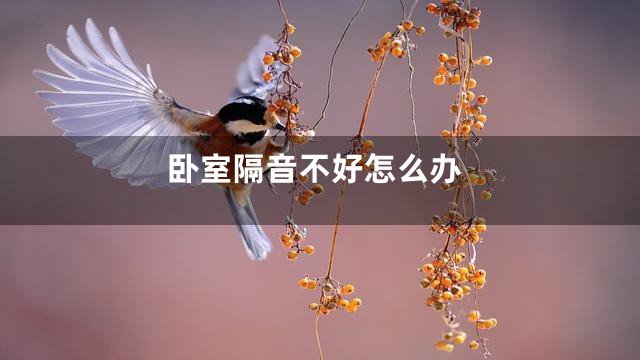 卧室隔音不好怎么办