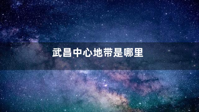 武昌中心地带是哪里