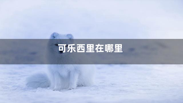 可乐西里在哪里