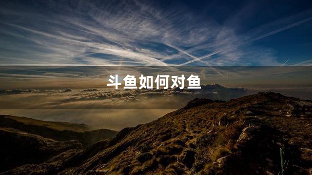 斗鱼如何对鱼