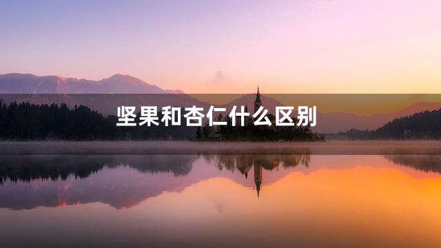 坚果和杏仁什么区别