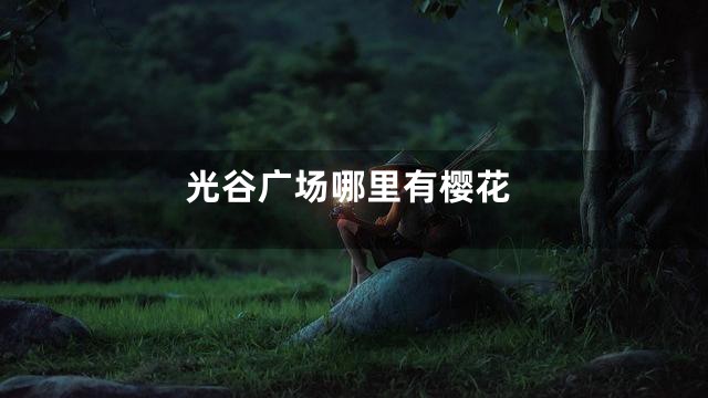 光谷广场哪里有樱花