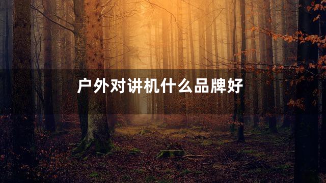 户外对讲机什么品牌好