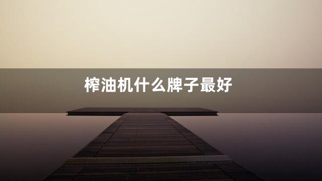 榨油机什么牌子最好