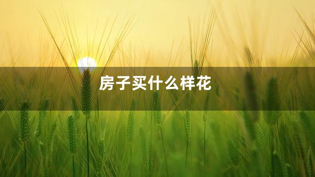 房子买什么样花