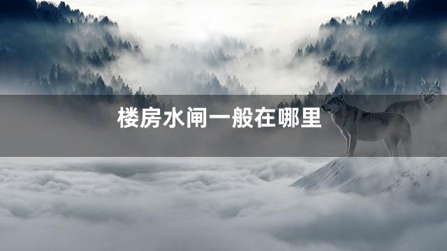 楼房水闸一般在哪里