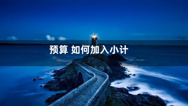 预算 如何加入小计