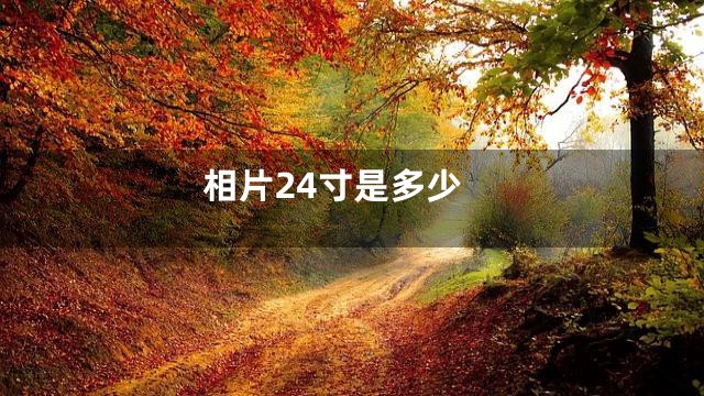 相片24寸是多少