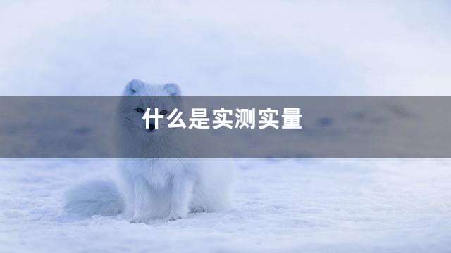 什么是实测实量