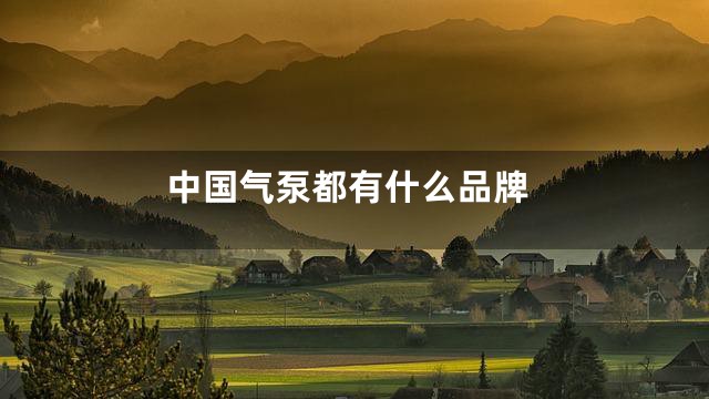 中国气泵都有什么品牌